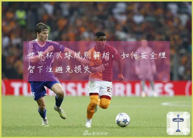 世界杯买球规则解析，如何安全理智下注避免损失