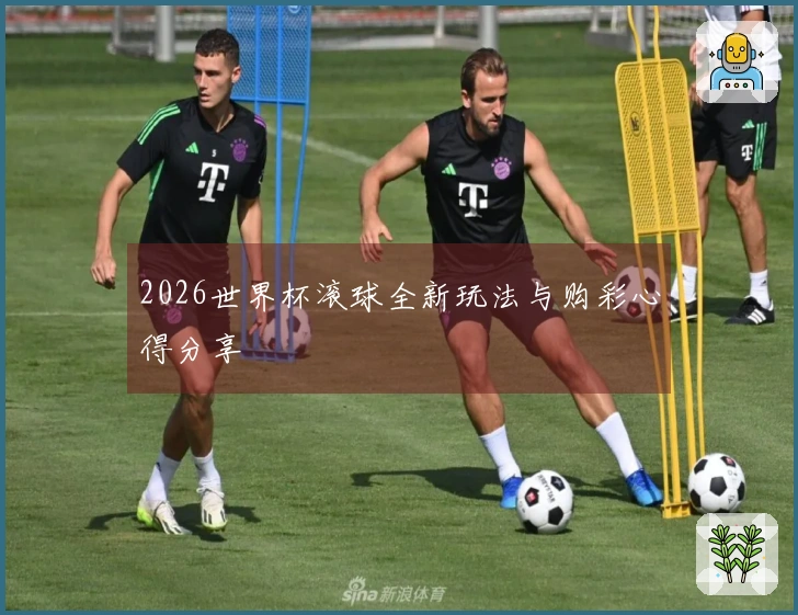 2026世界杯滚球全新玩法与购彩心得分享