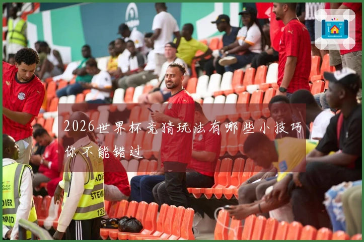 2026世界杯竞猜玩法有哪些小技巧你不能错过