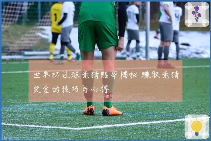 世界杯让球竞猜赔率揭秘 赚取竞猜奖金的技巧与心得