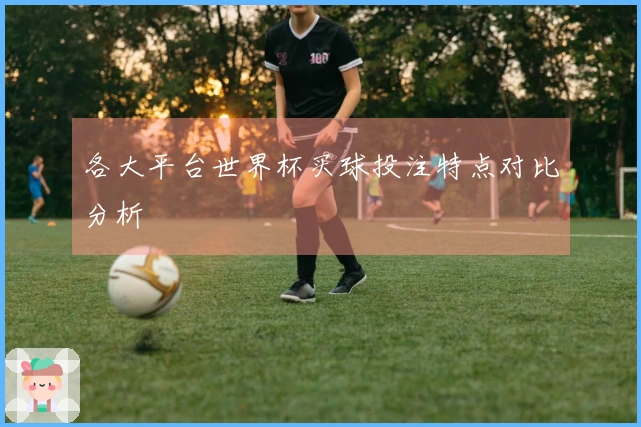 各大平台世界杯买球投注特点对比分析