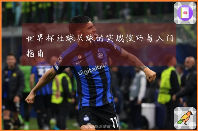 世界杯让球买球的实战技巧与入门指南