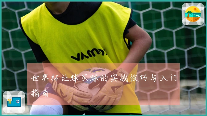 世界杯让球买球的实战技巧与入门指南
